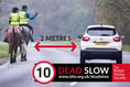 Number of horse incidents on roads is ‘far too high’