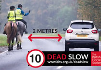 Number of horse incidents on roads is ‘far too high’