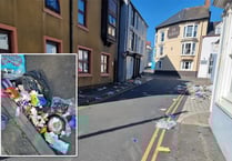 Calls for street cleaners to tackle bin day problems
