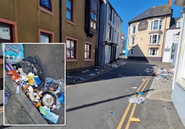 Calls for street cleaners to tackle bin day problems