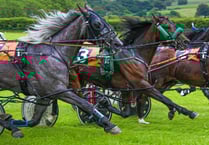 Popular harness racing fixture returns to its rightful home
