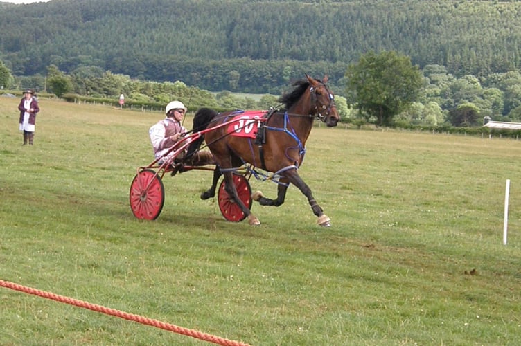 Baby Novice Race 1 winner Zulu Warrior