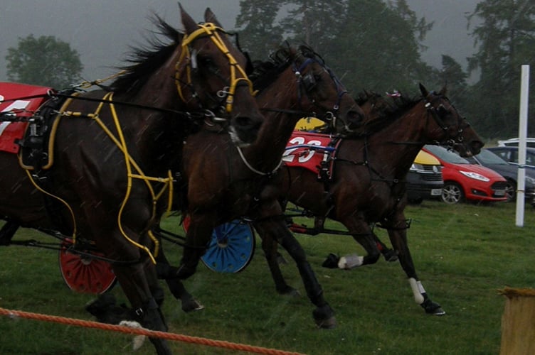 Grade A winner Easy Company (nearest camera)