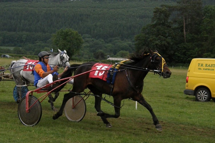 Grade B Final winner Llwyns Mercy