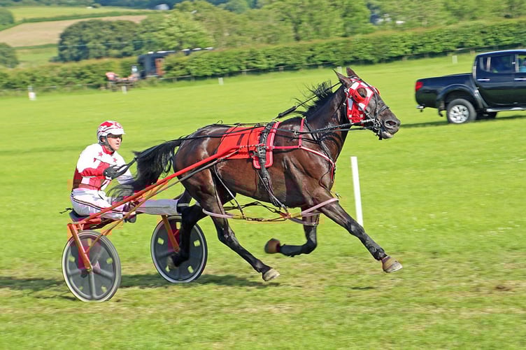 Welsh Classic winner Laneside Logic  trdegarton Trotting Dolyrychain Welsh Classic 2022