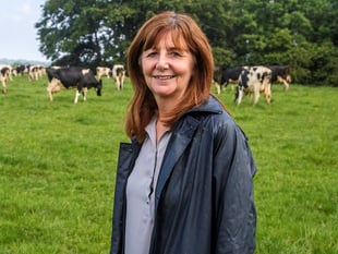 Sustainable farming Bill draws mixed response