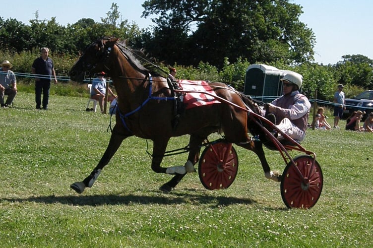 Wales & Borders Harness Racing 100722