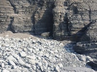 Sheep stranded on Ceredigion beach saved by kayaker 