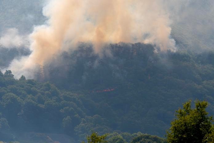 Cwmrheidol grass fire