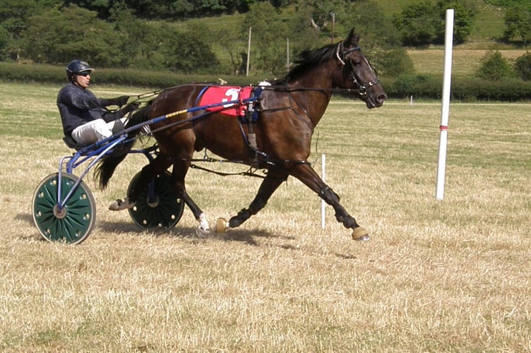 Wales & Border Harness Racing 17 July 2022