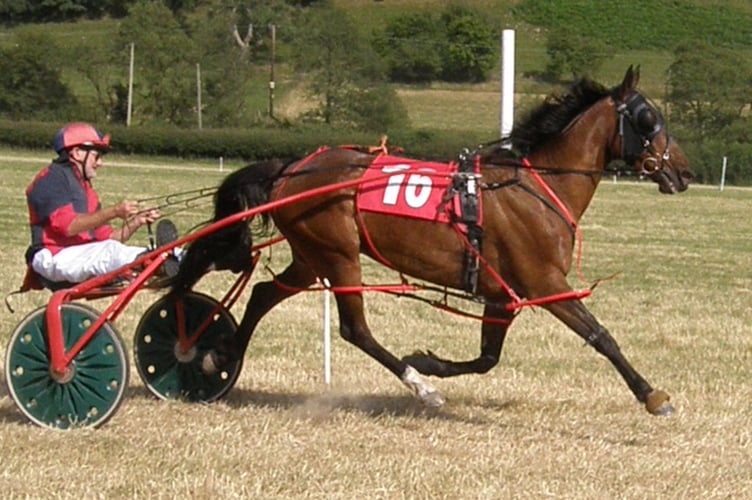 Wales & Borders Harness racing 17 July 2022