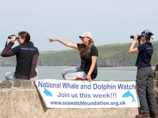 Binoculars at the ready for 25th Dolphin Watch