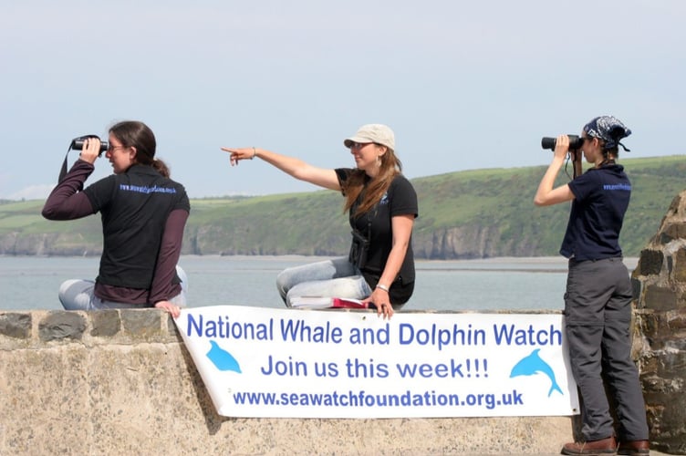 Whale and dolphin watch