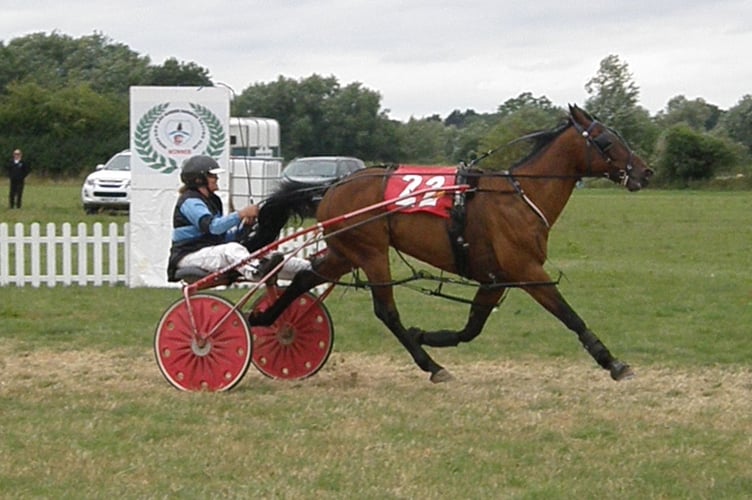 Wales & Border Harness Racing 240722