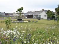 Community garden and hub opens in Aberystwyth