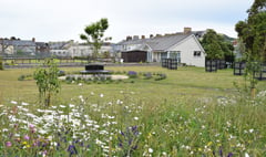 Community garden and hub opens in Aberystwyth