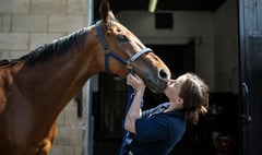 Racehorse trainers in Wales welcome visitors behind the scenes