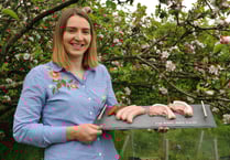 Pig finishing competition pays off for Rhiannon