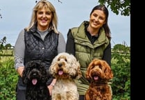 West Wales breeders named best in the UK