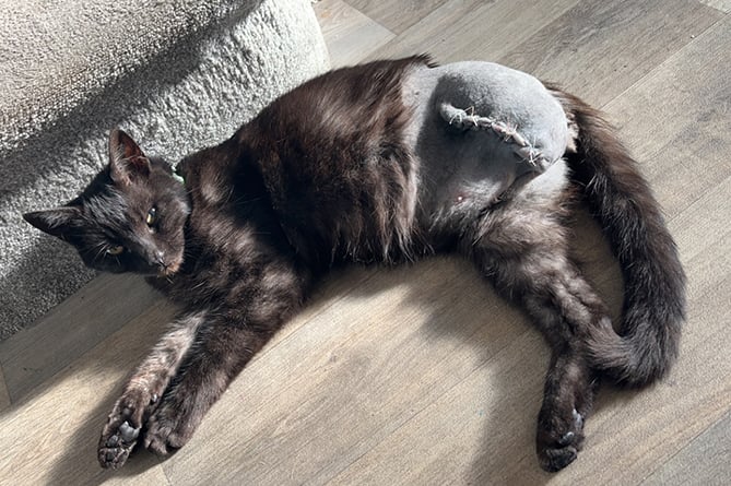 Sky is recovering after having a leg amputated