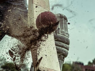 Why we need to embrace organised sports