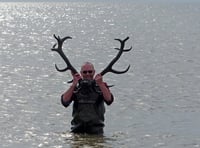 Ancient antlers shed light on Borth coastline