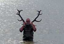 Ancient antlers shed light on Borth coastline