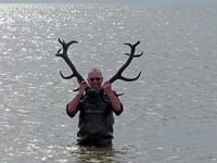 Ancient antlers shed light on Borth coastline