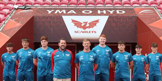 Local players on board for Scarlets Academy