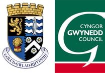 Gwynedd and Ceredigion councils differ so much...