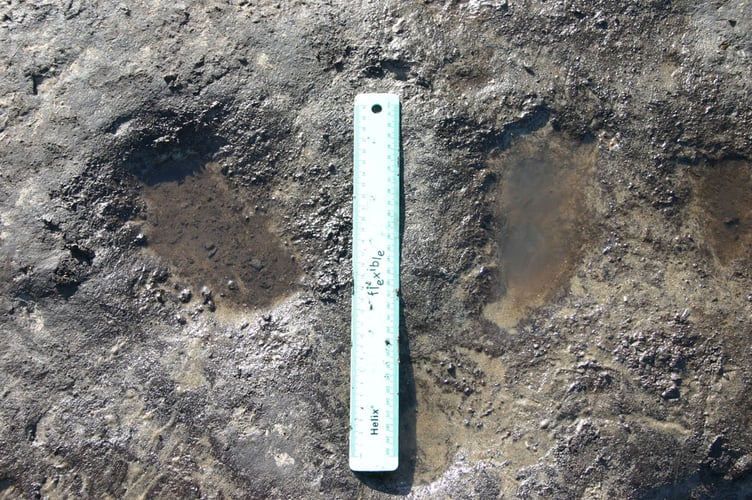 Footprints made by a child around 6,000 years ago Borth beach