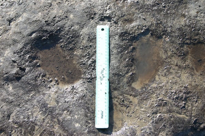 Footprints made by a child around 6,000 years ago Borth beach