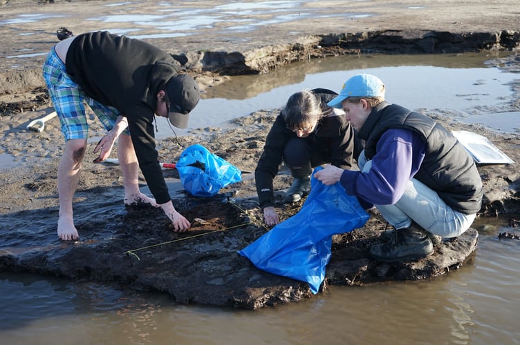  Excavating a burnt stone feature towards Ynyslas near Borth     