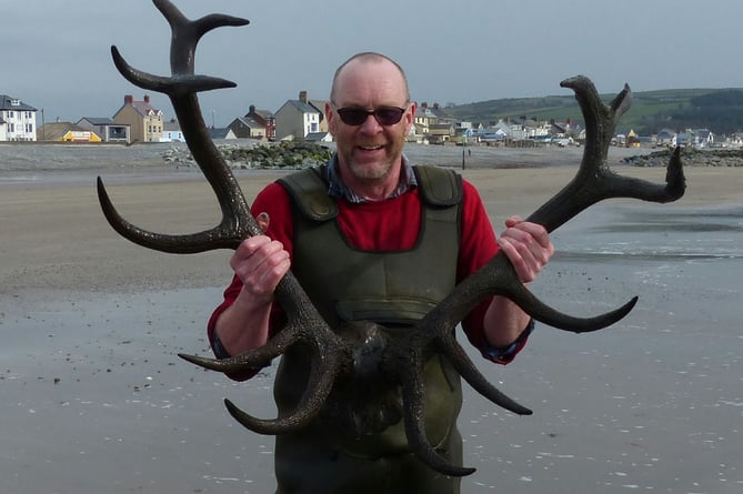 Dr Martin Bates, University of Wales Trinity Saint David, with 3,000-year-old antlers discovered in Borth