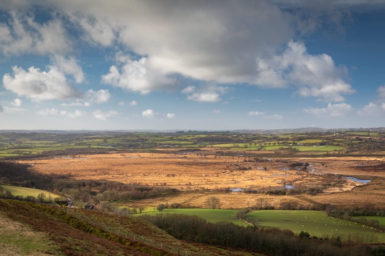 Cors Caron