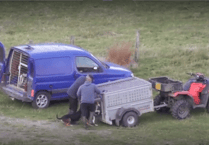 Father and son admit animal welfare charges