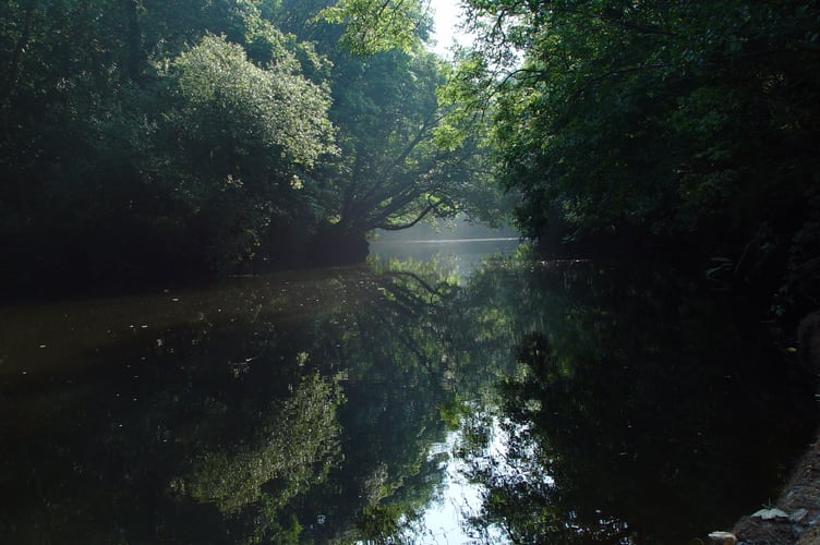 Teifi river