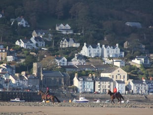 Council to discuss next steps for controversial Article 4 policy