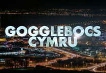 New version of Gogglebox with a Welsh twist has arrived