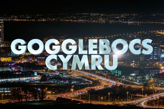 Gogglebox Cymru