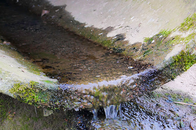 Calls for Dŵr Cymru to address Gwynedd sewage issue