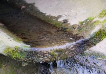 That stinks! Gwynedd ranks second in number of sewage discharges