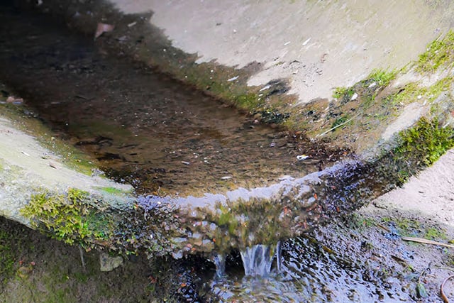 Calls for Dŵr Cymru to address Gwynedd sewage issue