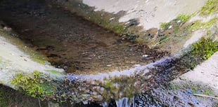 Calls for Dŵr Cymru to address Gwynedd sewage issue