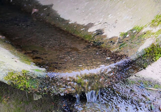 Calls for Dŵr Cymru to address Gwynedd sewage issue