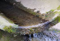 Calls for Dŵr Cymru to address Gwynedd sewage issue