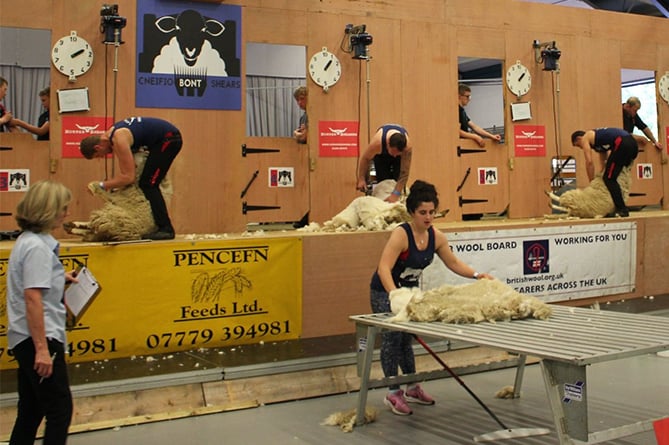 Cneifio Bont Shears saw 120 competitors take part, raising £2,000