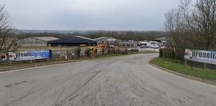 Elderly man airlifted to hospital after being trampled by escaped cow