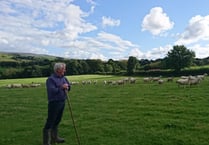 FUW outlines concerns amid inquiry into Agriculture Bill