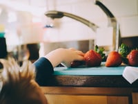 Fewer food parcels handed out in Ceredigion over summer